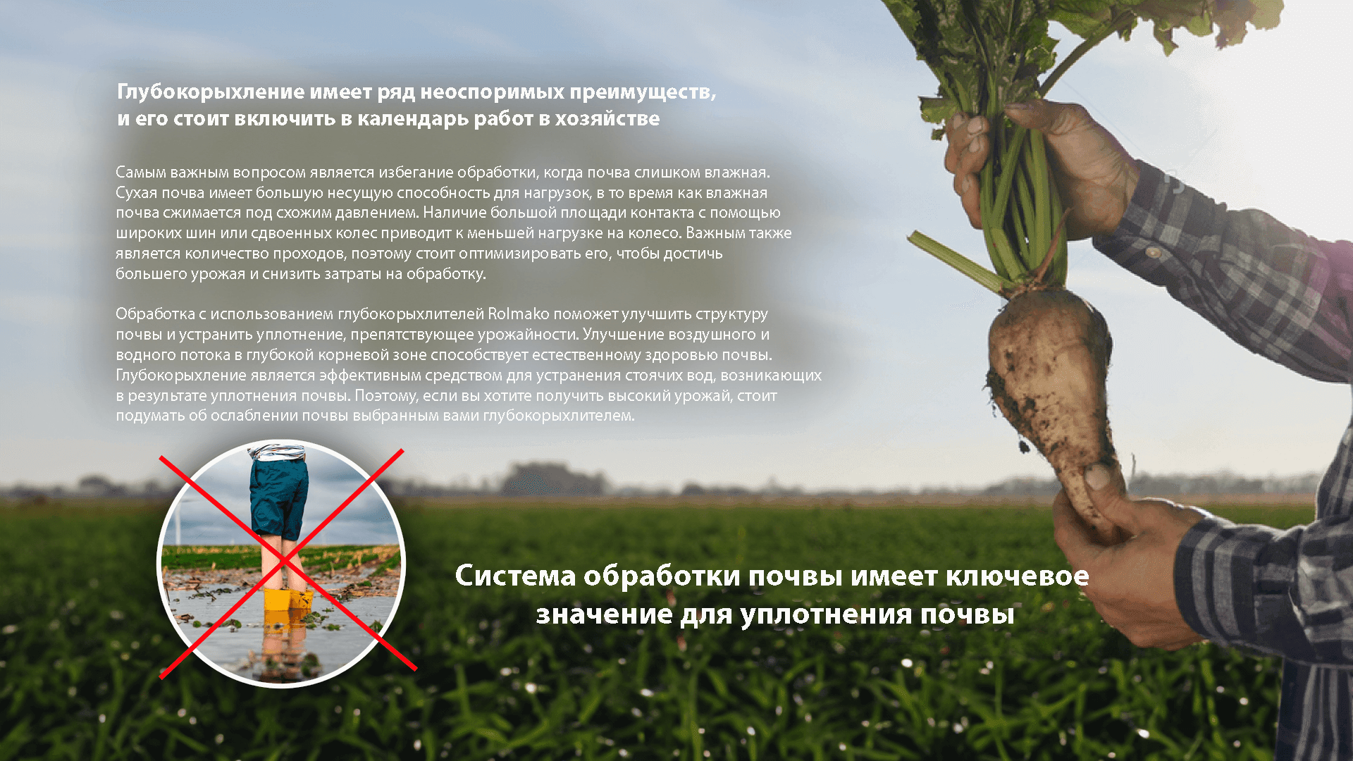 Преимущества рыхления почвы – рыхлители Rolmako