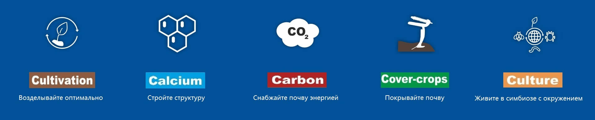 Регенеративное сельское хозяйство в соответствии с кодом 5C