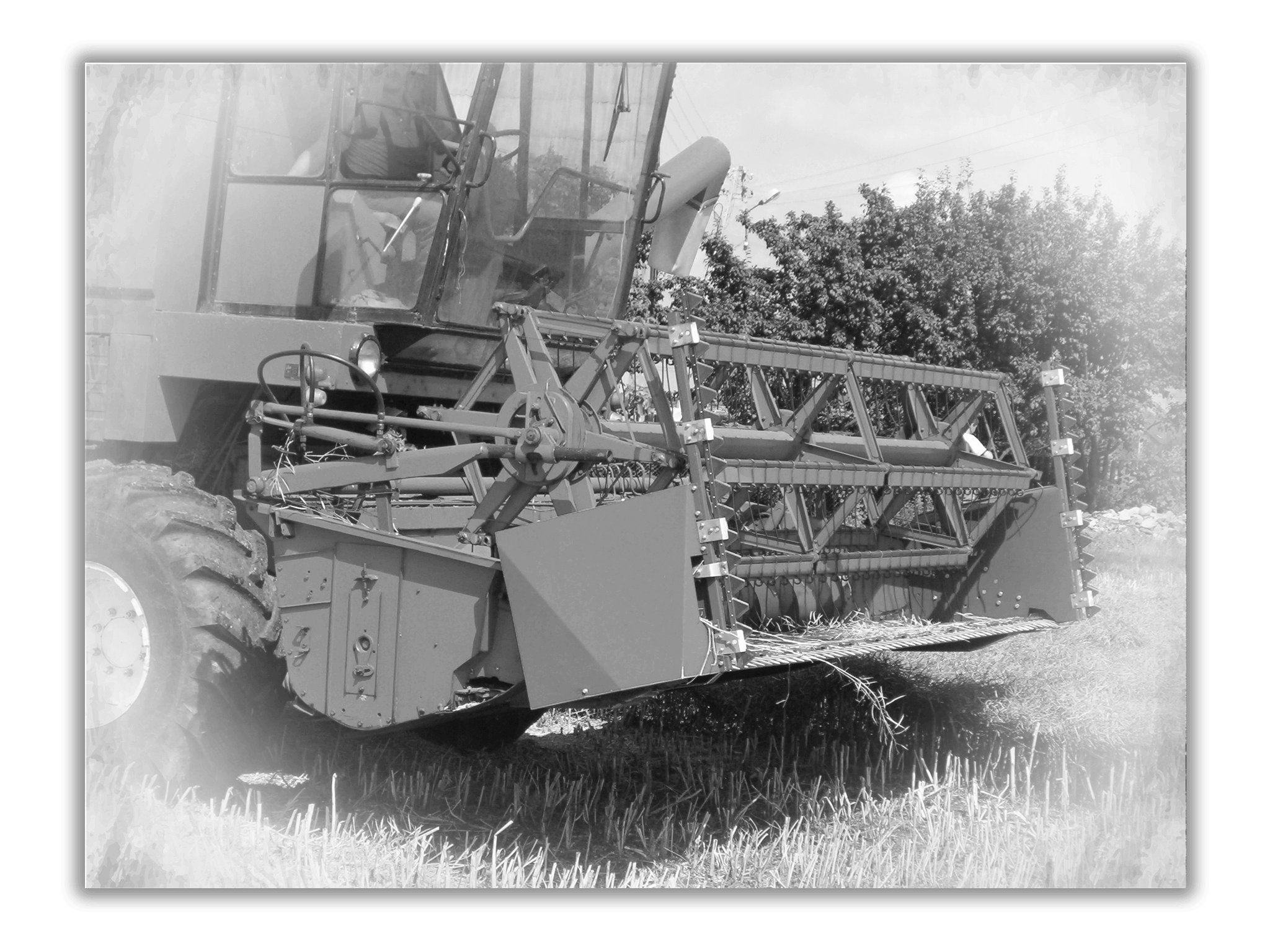 Начало компании Rolmako – история основания и развития