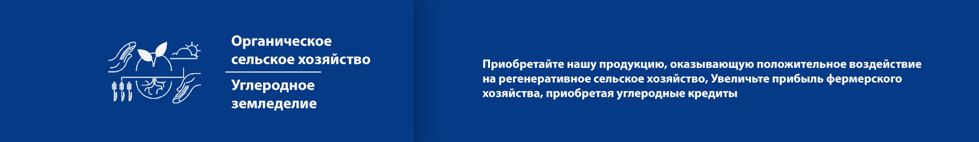 Код 5C в регенеративном сельском хозяйстве - наиболее важные правила