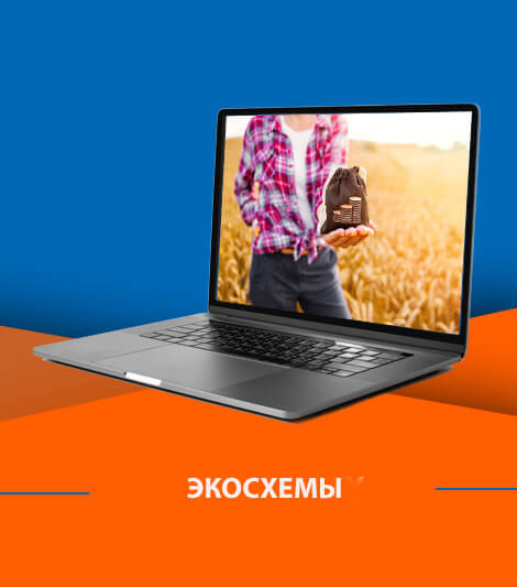 Эко-схемы — принципы экологичных сельскохозяйственных практик и их применение