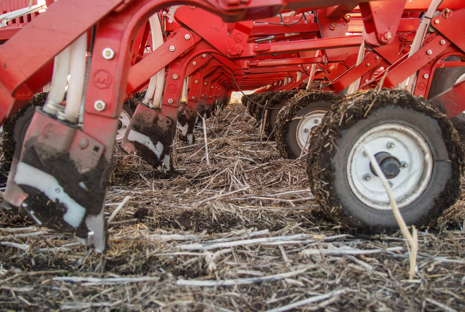 Полосовая обработка Strip-till — преимущества и применение